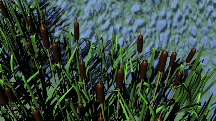 3D-schilf 3