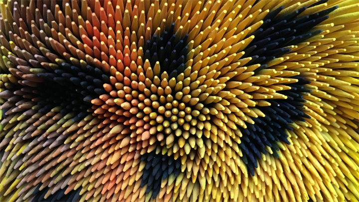 cure dant detail2